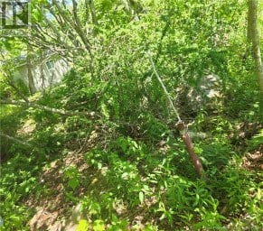 90 Crowley Road Saint John New Brunswick photo 14