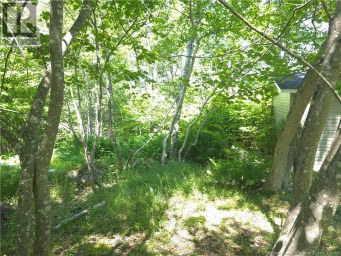 90 Crowley Road Saint John New Brunswick photo 9