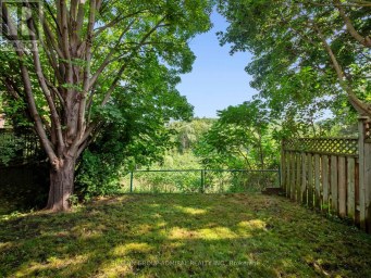 169 ROBERT HICKS DRIVE Toronto (Westminster-Branson) Ontario photo 41