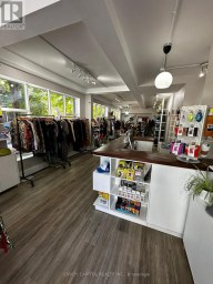1179 QUEEN STREET E Toronto (South Riverdale) Ontario photo 3