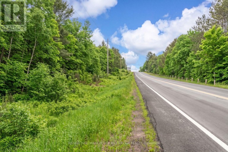 0 COUNTY ROAD 121, Minden Hills (Minden), Ontario, K0M2A1