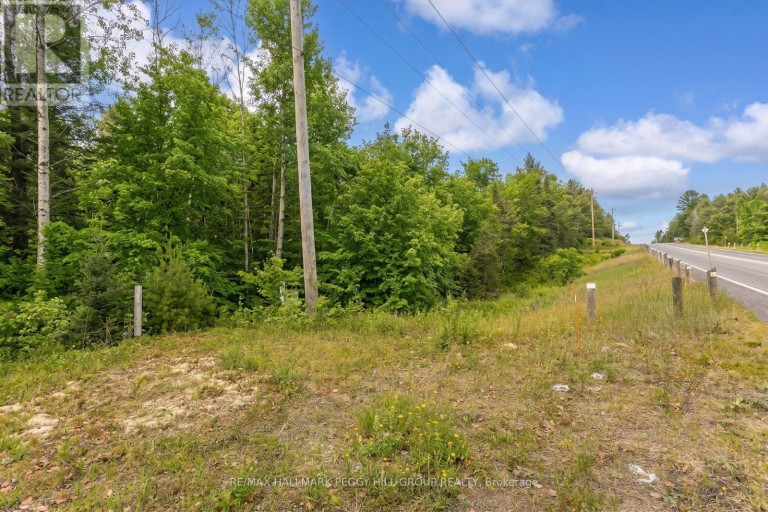 0 COUNTY ROAD 121, Minden Hills (Minden), Ontario, K0M2A1