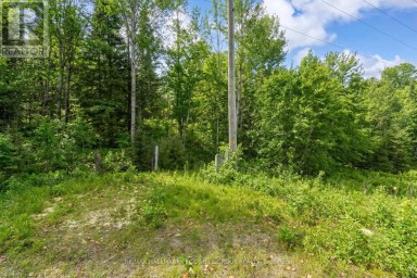 0 COUNTY ROAD 121 Minden Hills (Minden) Ontario photo 4