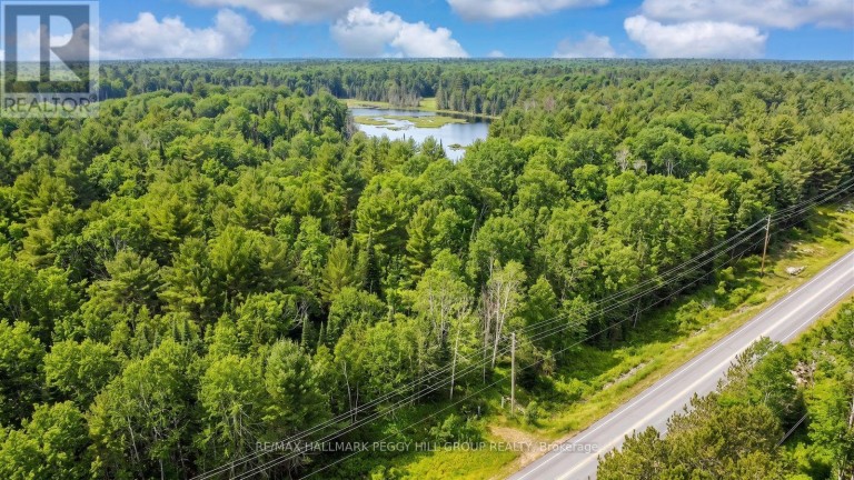 0 COUNTY ROAD 121, Minden Hills (Minden), Ontario, K0M2A1