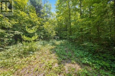 PT LT 40 HORSESHOE VALLEY ROAD W Oro-Medonte (Craighurst) Ontario photo 10