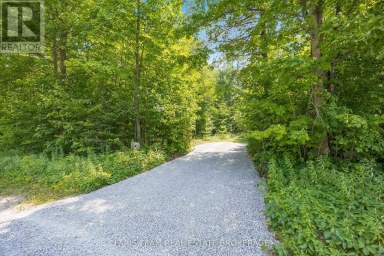 PT LT 40 HORSESHOE VALLEY ROAD W Oro-Medonte (Craighurst) Ontario photo 7