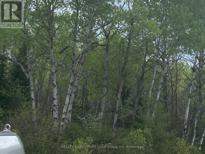 LOT 33 RUTHERGLEN LINE, Bonfield, Ontario, P0H2E0 (ID X13575688)