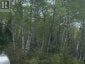 LOT 33 RUTHERGLEN LINE, Bonfield, Ontario, P0H2E0 (ID X13575688)