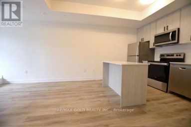 P36 - 25 PALACE STREET Kitchener Ontario photo 5