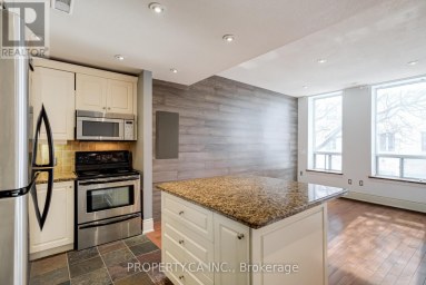 201 - 283 KING STREET E Hamilton (Beasley) Ontario photo 10