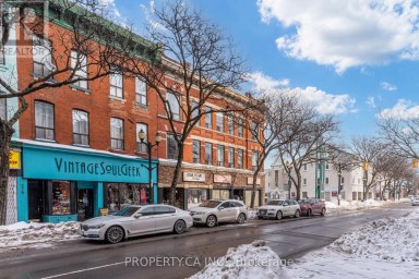 201 - 283 KING STREET E Hamilton (Beasley) Ontario photo 3