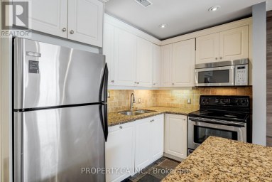 201 - 283 KING STREET E Hamilton (Beasley) Ontario photo 7
