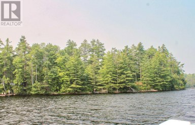 47 MCKEE AVENUE Trent Lakes Ontario photo 1