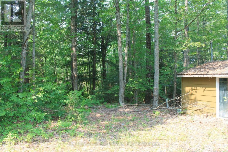 47 MCKEE AVENUE, Trent Lakes, Ontario, K0L1J0