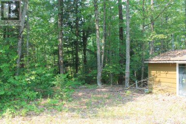 47 MCKEE AVENUE Trent Lakes Ontario photo 10