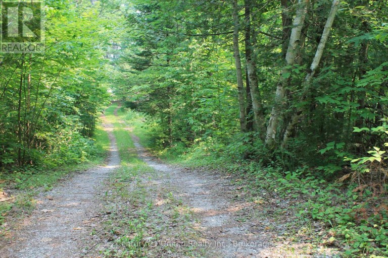47 MCKEE AVENUE, Trent Lakes, Ontario, K0L1J0