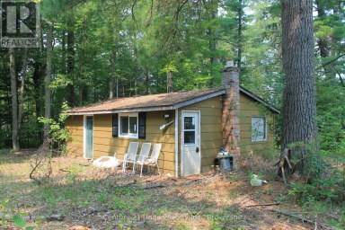 47 MCKEE AVENUE Trent Lakes Ontario photo 17