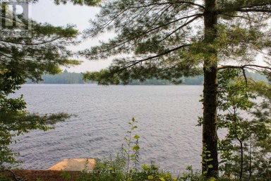 47 MCKEE AVENUE Trent Lakes Ontario photo 18