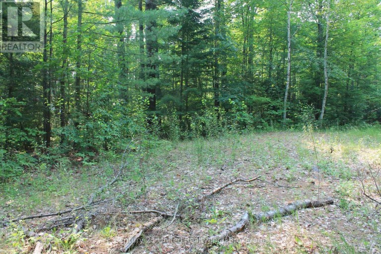 47 MCKEE AVENUE, Trent Lakes, Ontario, K0L1J0