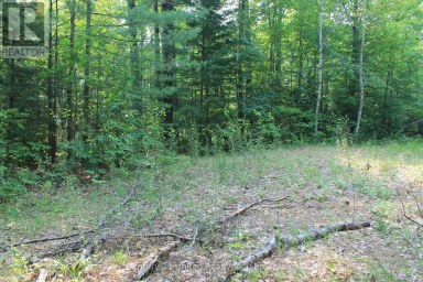 47 MCKEE AVENUE Trent Lakes Ontario photo 19