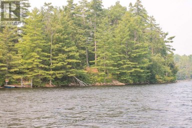 47 MCKEE AVENUE Trent Lakes Ontario photo 2