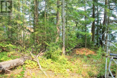 47 MCKEE AVENUE Trent Lakes Ontario photo 20