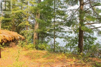 47 MCKEE AVENUE Trent Lakes Ontario photo 21