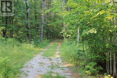 47 MCKEE AVENUE Trent Lakes Ontario photo 23