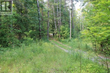 47 MCKEE AVENUE Trent Lakes Ontario photo 24