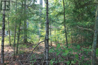 47 MCKEE AVENUE Trent Lakes Ontario photo 25
