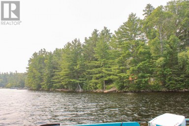 47 MCKEE AVENUE Trent Lakes Ontario photo 29