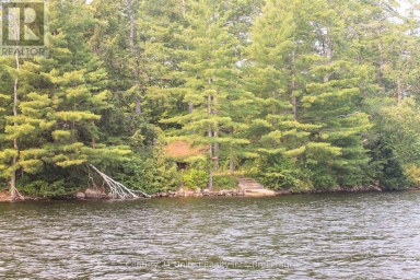 47 MCKEE AVENUE Trent Lakes Ontario photo 4