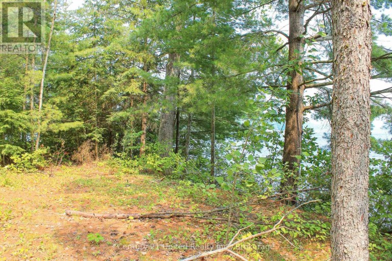 47 MCKEE AVENUE, Trent Lakes, Ontario, K0L1J0