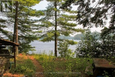 47 MCKEE AVENUE Trent Lakes Ontario photo 7