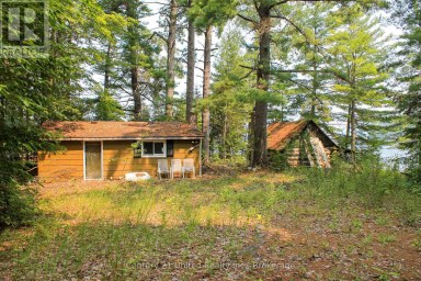 47 MCKEE AVENUE Trent Lakes Ontario photo 8