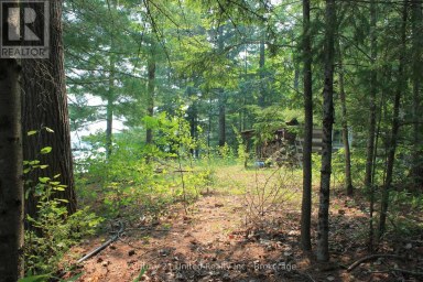 47 MCKEE AVENUE Trent Lakes Ontario photo 9