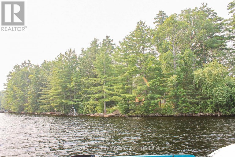 00 MCKEE AVENUE, Trent Lakes, Ontario, K0L1J0