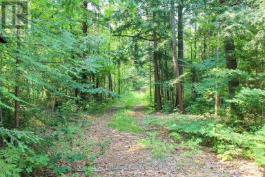 00 MCKEE AVENUE Trent Lakes Ontario photo 12