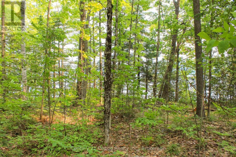 00 MCKEE AVENUE, Trent Lakes, Ontario, K0L1J0