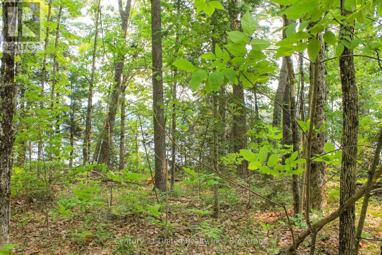 00 MCKEE AVENUE, Trent Lakes, Ontario, K0L1J0