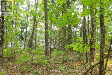 00 MCKEE AVENUE Trent Lakes Ontario photo 15