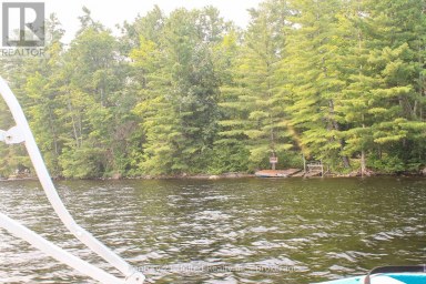 00 MCKEE AVENUE Trent Lakes Ontario photo 18