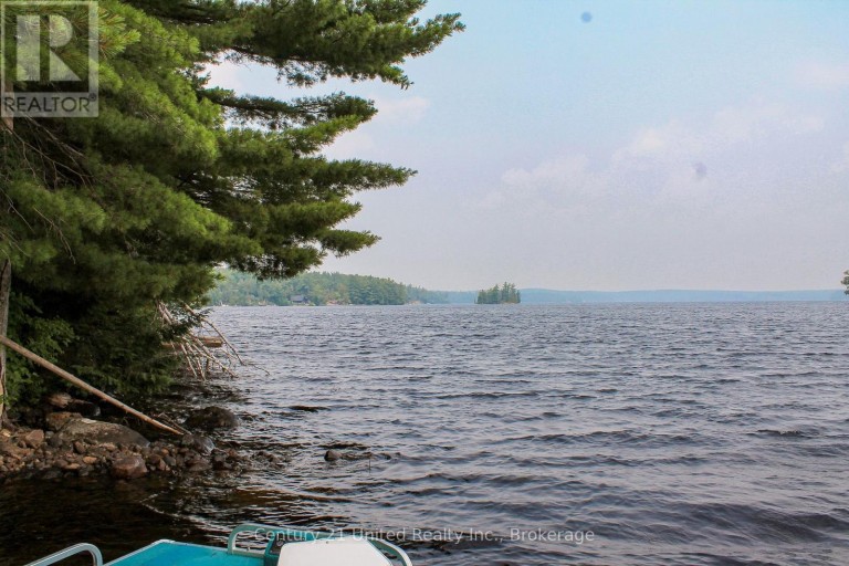 00 MCKEE AVENUE, Trent Lakes, Ontario, K0L1J0