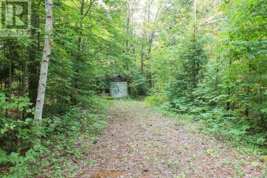 00 MCKEE AVENUE Trent Lakes Ontario photo 5