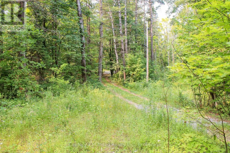 00 MCKEE AVENUE, Trent Lakes, Ontario, K0L1J0