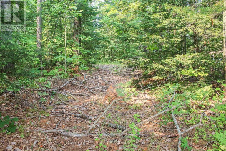 00 MCKEE AVENUE, Trent Lakes, Ontario, K0L1J0