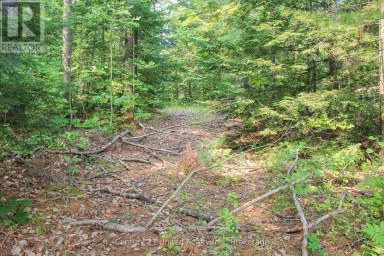 00 MCKEE AVENUE Trent Lakes Ontario photo 7