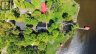 919 COOK ROAD, Marmora And Lake (marmora Ward), Ontario, K0K2M0 (ID X13576998)