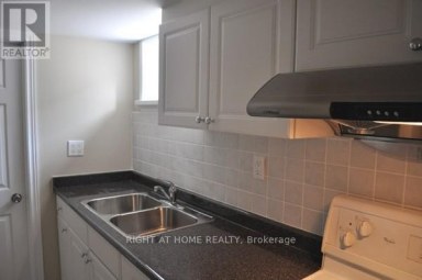 242 DEMAINE CRESCENT Richmond Hill (Crosby) Ontario photo 11
