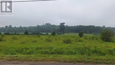 Gordon Lake RD Johnson Twp Ontario photo 5